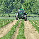 Bei einer geforderten Wasseraufwandmenge von 300 l/ha kann LU Carsten Püschel mit seiner Spritze mit ca. 8 km/h durch die Bestände fahren. Das Spritzgestänge wird in der Regel in einem Abstand von 50 bis 60 cm über den Pflanzen geführt.