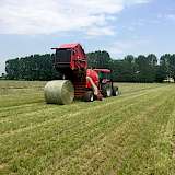 Quelle: Lely