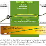 Abb. 1: Schematischer Zusammenhang zwischen Vorernteverlusten und Erntetermin in einem 