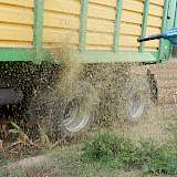 Reinigung Anhänger mit Laubbläser